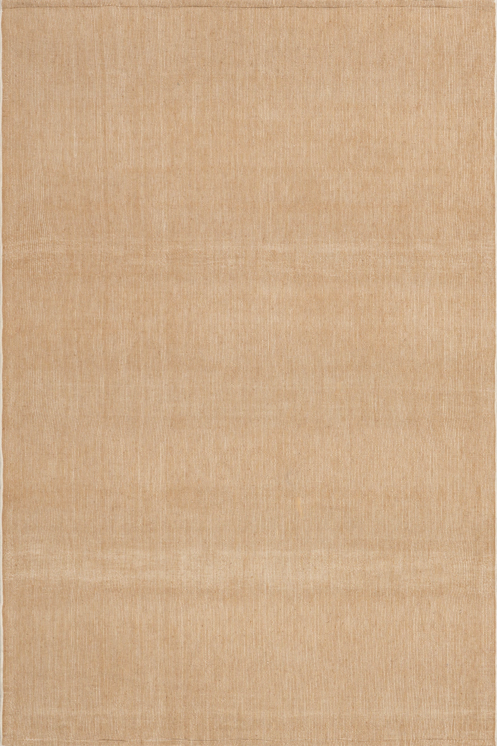 Alira Solid Indoor/Outdoor Rug | Brown