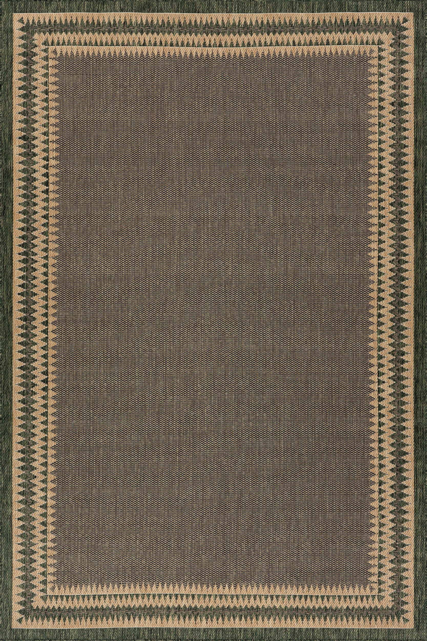 Loenya Modern Bordered Indoor/Outdoor Rug | Green