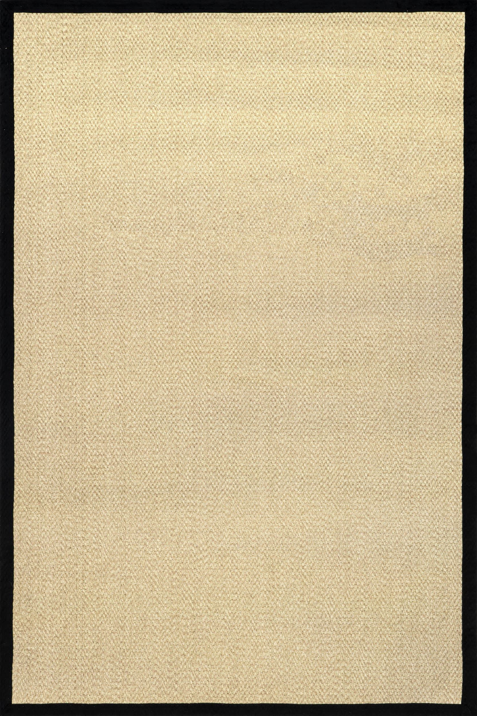 Naida Faux Seagrass Indoor/Outdoor Rug | Black