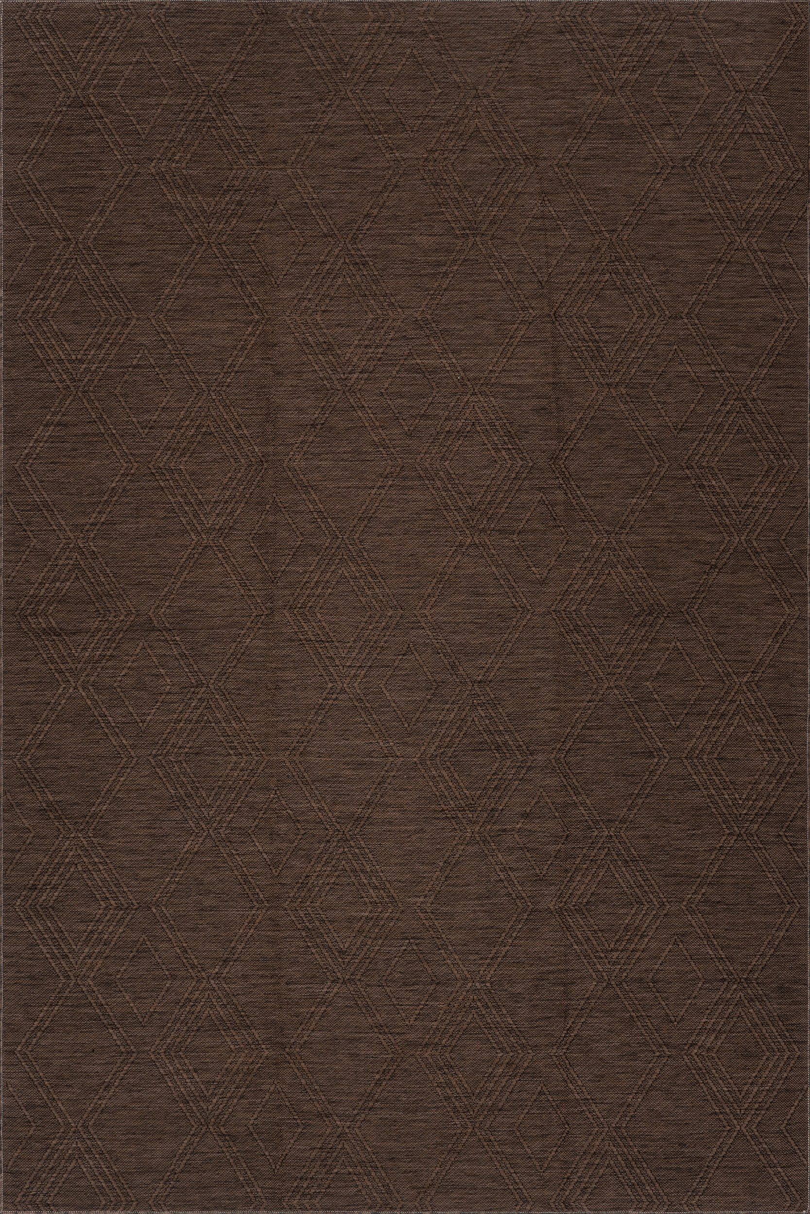 Tesnia Modern Solid Indoor/Outdoor Rug | Brown